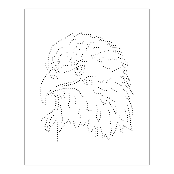 mokoページ Stencil Pontilhado Águia - 20x25 - Ref B1234